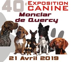 exposition-canine-nationale-monclar-de-quercy-tarn-et-garonne-occitanie-sortir-82