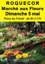 marche-aux-fleurs-roquecor-tarn-et-garonne-occitanie-sortir-82