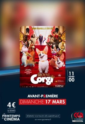 royal-corgi-premiere-montauban-tarn-et-garonne-occitanie-sortir-82