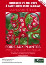 51eme-foire-aux-plantes-rares-de-collection-saint-nicolas-de-grave-tarn-et-garonne-occitanie-sortir-82