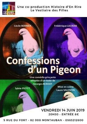 confessions-dun-pigeon-montauban-tarn-et-garonne-occitanie-sortir-82