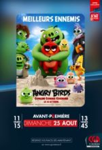 angry-birds-copains-cochons-premiere-montauban-tarn-et-garonne-occitanie-sortir-82