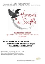 journee-des-arts-energetiques-montech