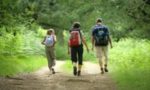 deambulation-bucolique-dans-les-bois-autour-dun-bel-etang-montaigu-de-quercy