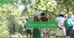 escape-foret-game-fauroux