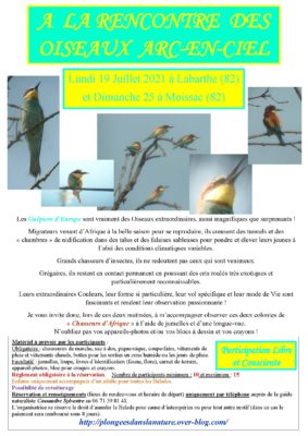a-la-rencontre-des-oiseaux-arc-en-ciel-labarthe