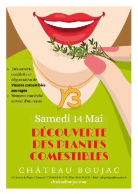 decouverte-des-plantes-comestibles-campsas