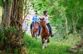 balade-a-cheval-foret-sud-gironde 2