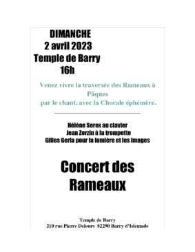 Concert des rameaux #Barry-d'Islemade