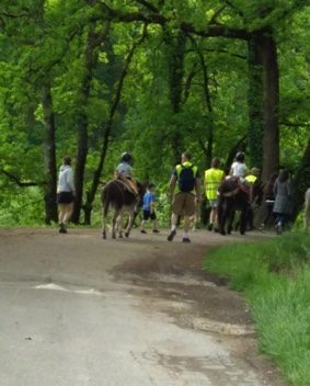 balade-avec-des-anes-lafrancaise