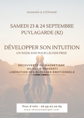 DÉVELOPPER SON INTUITION #Puylagarde
