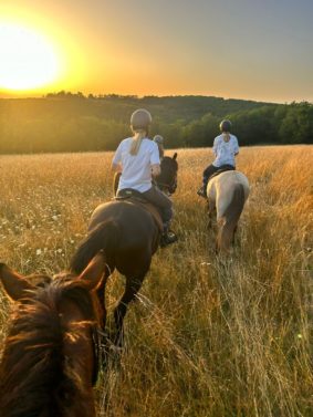 Balade à cheval, coucher de soleil #Bruniquel