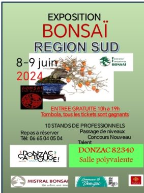 Exposition bonsai région sud #Donzac