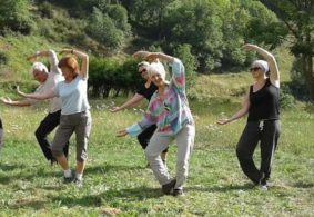 Photo-2-Qi-Gong-Fre-de-ric-Volle-