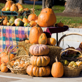 Foire d'Automne