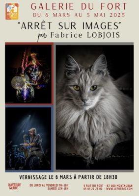 F-LOBJOIS-affiche-modifiée-